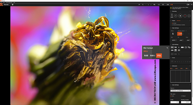 microscope photo file format RAW, RAW-J, JPEG define Sony software