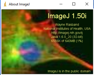 Brief Review Java Imagej Software Editing And Processing