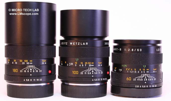 digital macro photography on analogue lenses