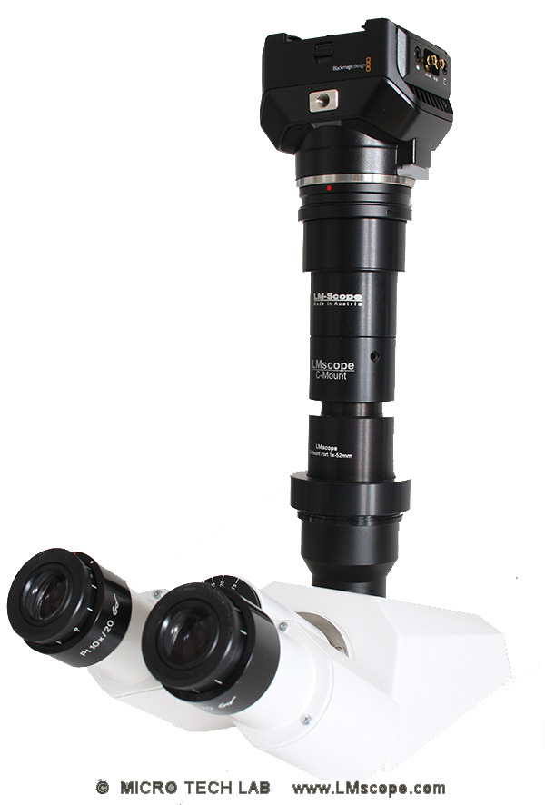mount the blackmagic camcorder on a microscope with LM digital adapter
