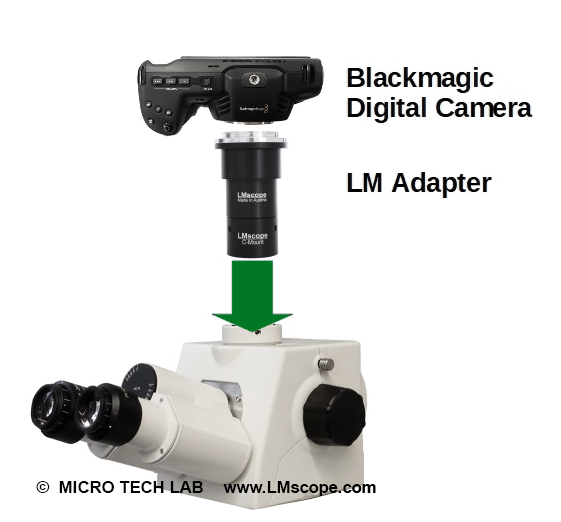 Montage Blackmagic Pocket Cinema Cam auf Mikroskop Zeiss am Fototubus