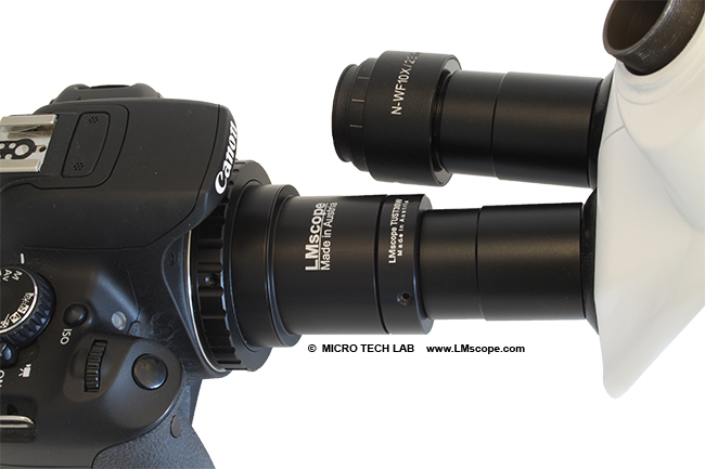 Weitfeld Adapterlösung mit Canon Kamera am Okulartubus