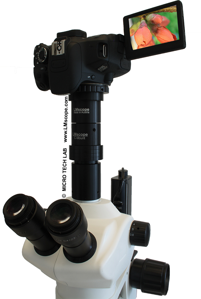 Bresser stereomicroscope solution adaptateur au photo tube avec Canon DSLR