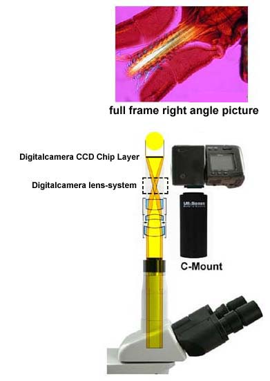 adjustment field of view with different lens system