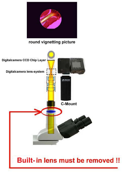 round vignetting picture with digital camera microscope