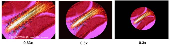 vignetting microscopy reduction optics