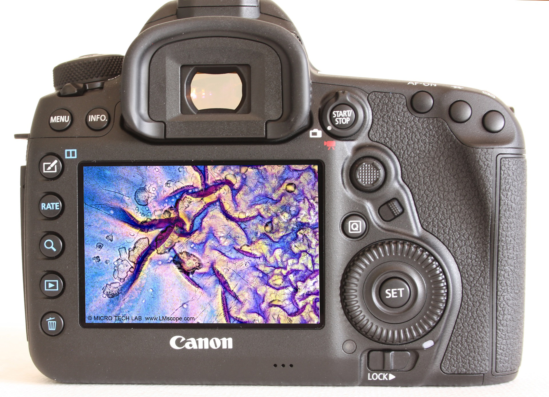 Canon EOS 5D modern microscope camera