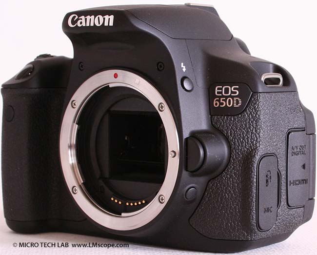 Le Canon EOS 2000D comme appareil photo de microscope : un