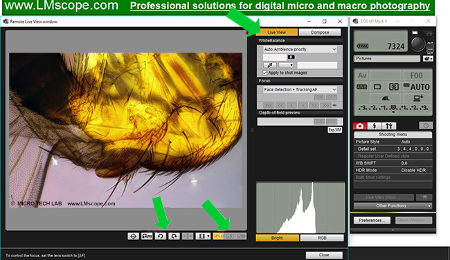 live view with DSLR and microscope Canon EOS Utility Software