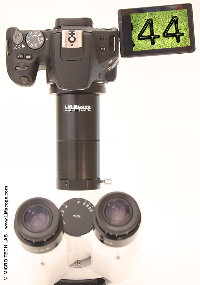 Canon EOS 200D en el microscopio con adaptator digital LM