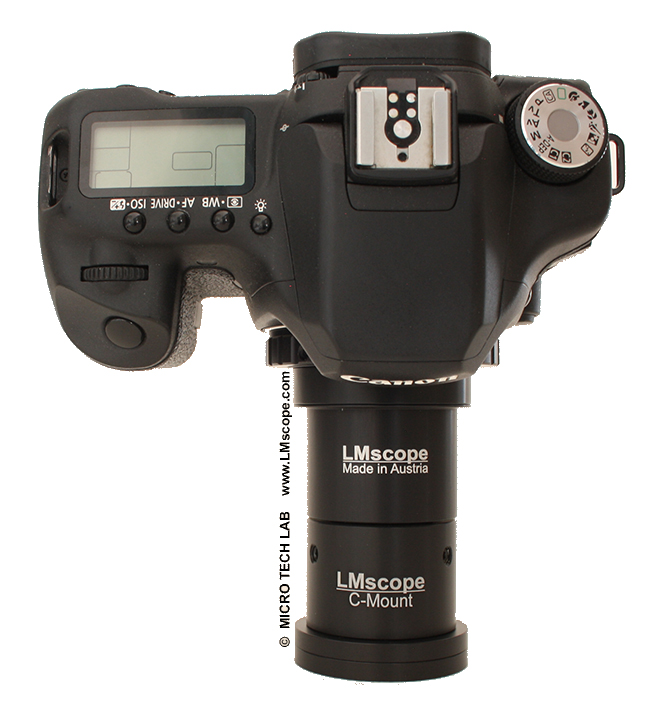 Canon EOS 50D am Mikroskop: Adapter für Fototubus C-Mount