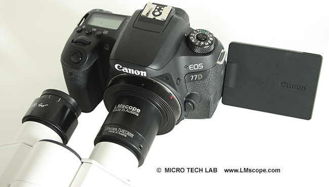 Canon camera on microscope eyepiece