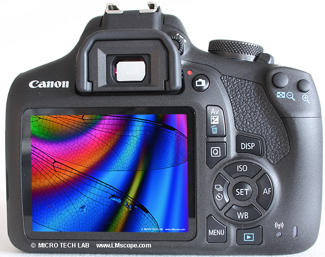 Canon EOS 2000D on microscope fix LCD monitor, microscope camera