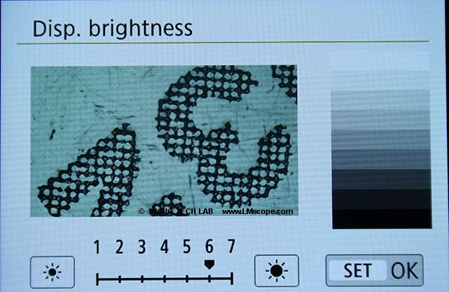 Displayhelligkeit im Live View Modus EOS 250D