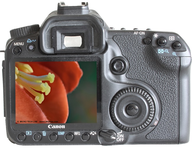 Test: The Canon EOS 40D on the microscope – a DSLR classic with an