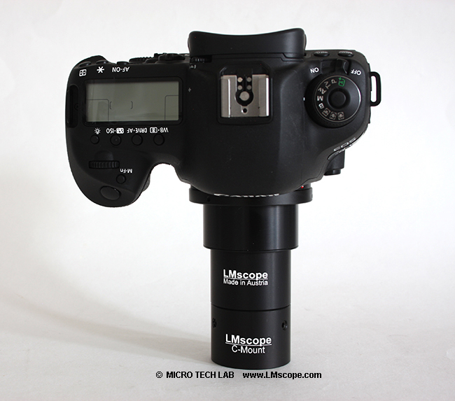 Canon EOS 5D Mark IV Mikroskopkamera auf LM Digital Adapter Fototubus