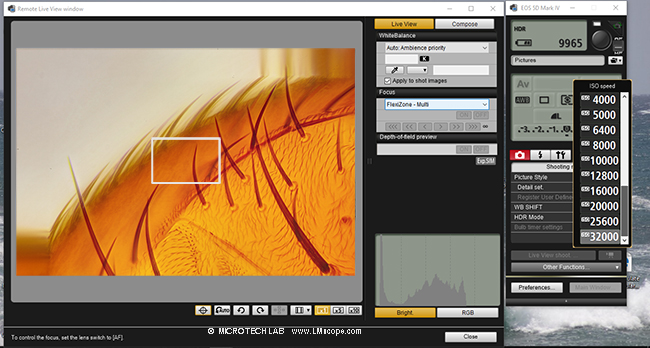 Canon Utility Software fluorescence microscopy nature microscopy