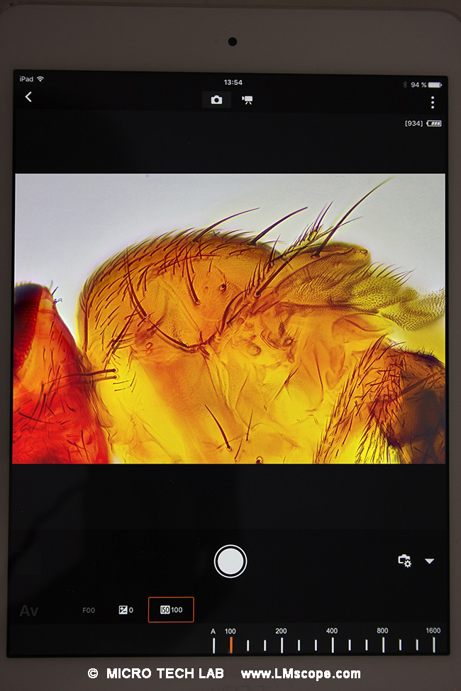 EOS Utility Software Camera Connect App am I-Pad Mikroskopfotografie