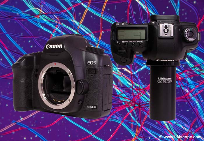 Canon EOS 5D Mark II y adaptor de microscopia LM 