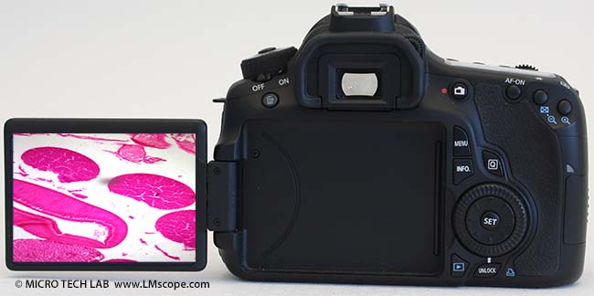 Canon EOS 60D parte posterior pantalla plegable