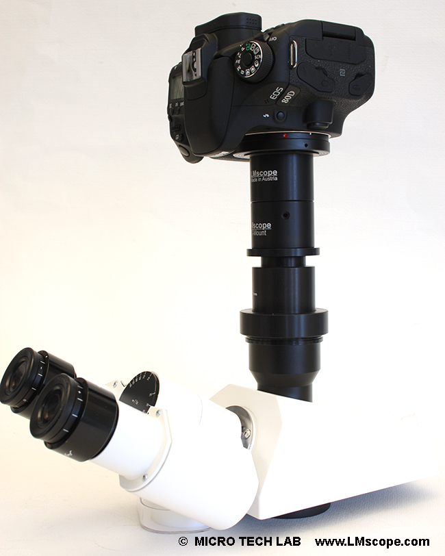 LM Digital Adapter avec Canon EOS 80D au port photographique a monture c