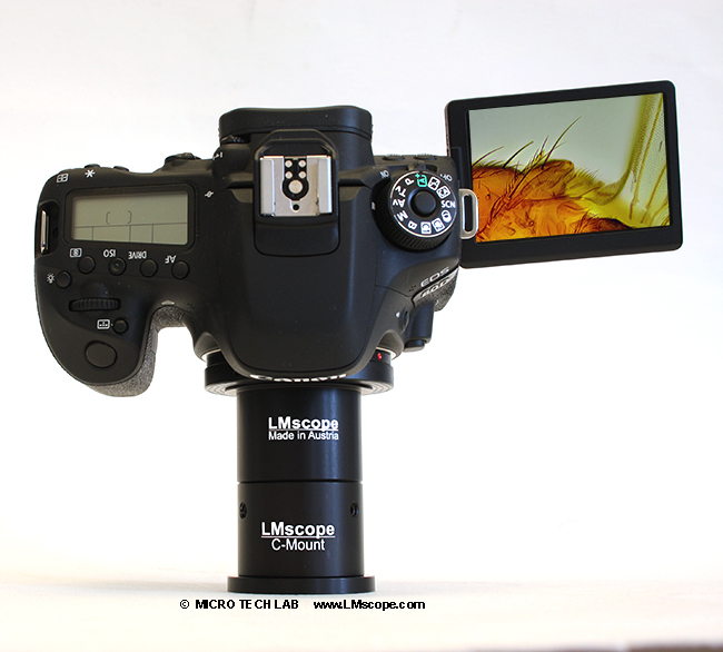 DSLR Canon EOS 80D mounted on C-Mount microscope phototube