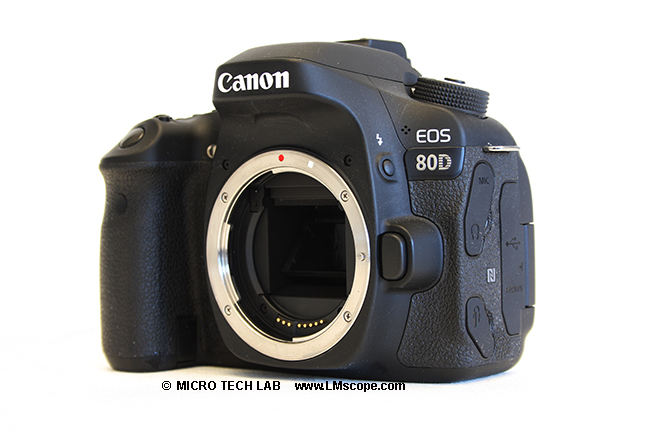 Canon EOS 80D DSLR avec CMOS Sensor