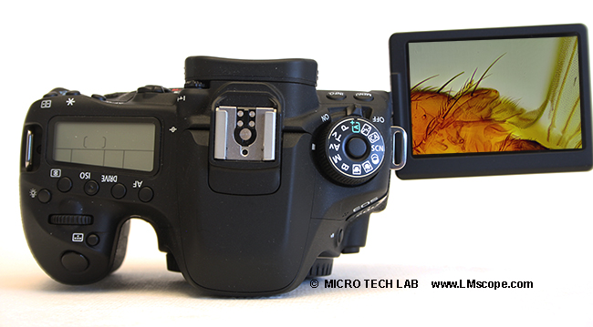 Canon EOS 80D APS-C DSLR mit beweglichem Display