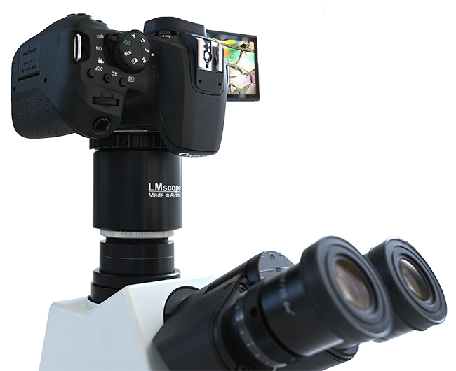 Canon EOS 850D am Mikroskop Fototubus montieren