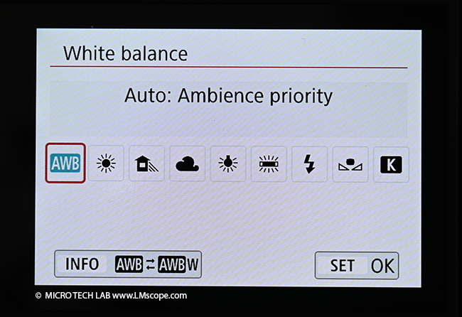 Canon EOS 850D White balance Weiabgleich Kameramen