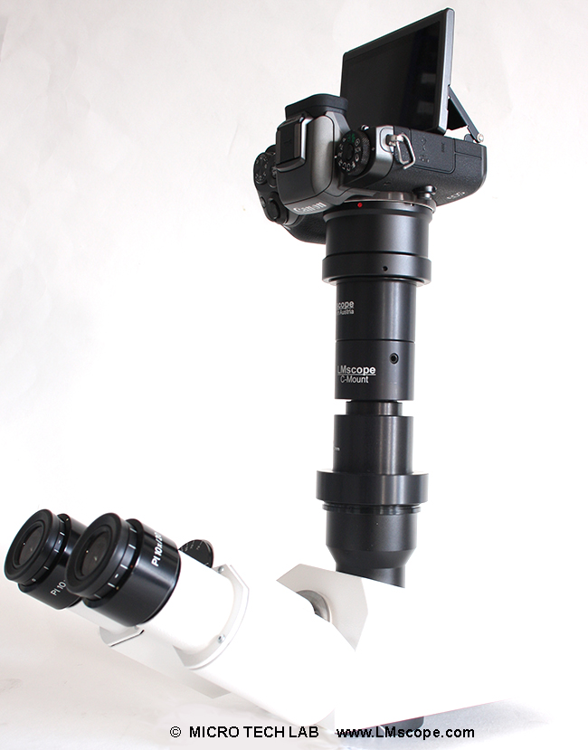 Canon EOS M5 am fotoport Mikroskopadapter