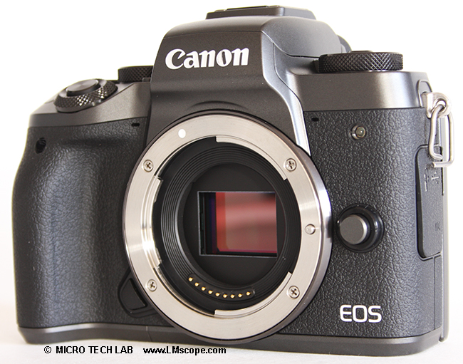 Canon EOS M5 for microscopy use