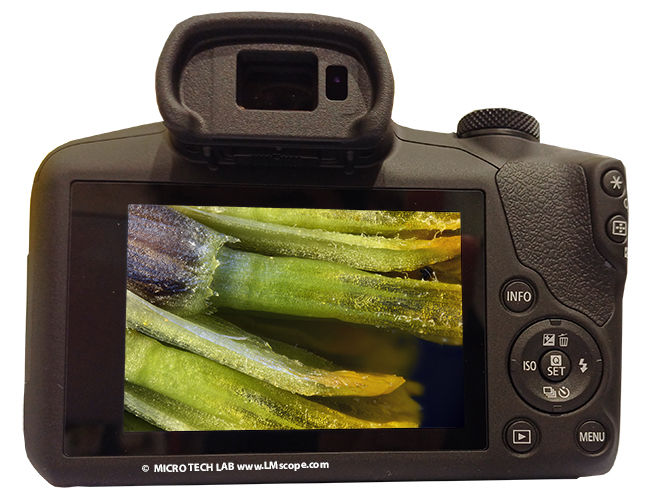 Canon EOS R100 system camera for microscopy, fixed display microscope camera