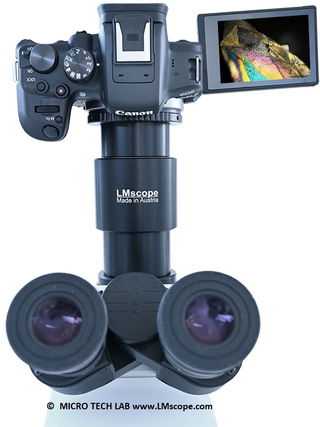 Canon EOS R10 am Fototubus Mirkoskopfoto Mikroskopkamera