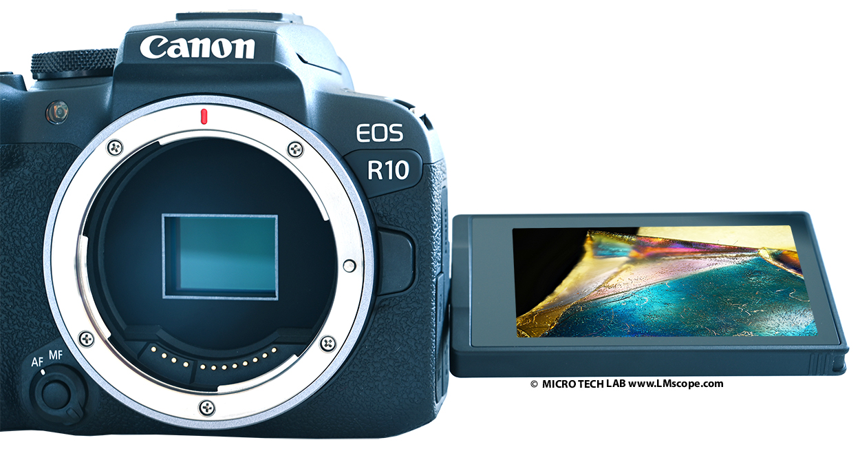 Canon EOS R10 variable TFT LCD display for microscope photos