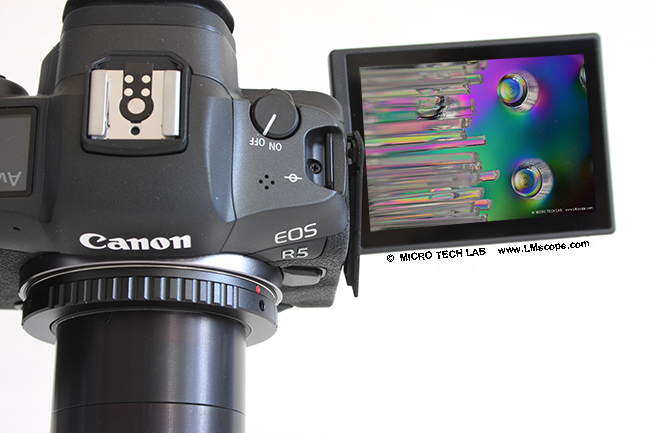 Montage Canon EOS R5 tube photo adaptateur numérique