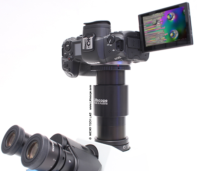 Canon EOS Hybridkamera mit Mikroskopadapter am Fototubus eines Mikroskope