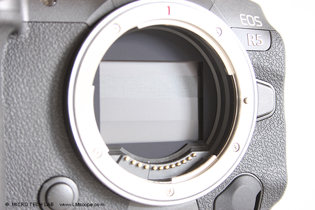 Canon EOS R5 obturateur ferme capteur est couvert