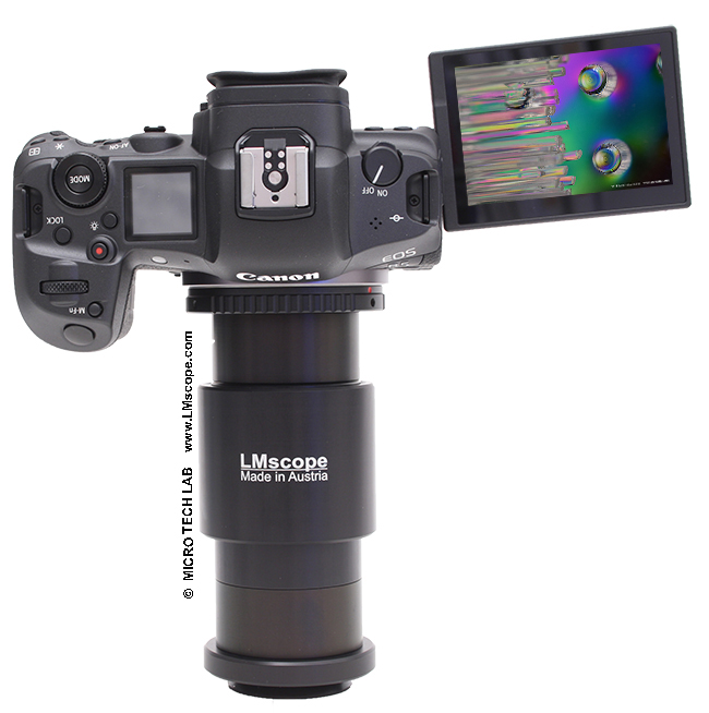 Canon EOS R5 hybride sans miroir adaptateur numerique Olympus Nikon Zeiss microscope