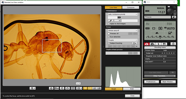 EOS Utility software for Canon EOS R6 II microscopy