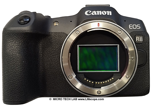 Canon EOS R8 Mikroskopkamera Systemkamera Vollformat
