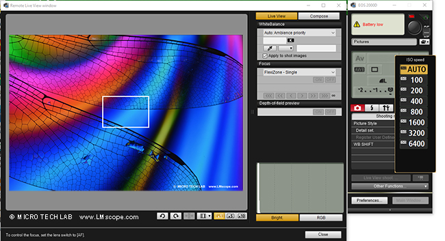 EOS 2000D as microscope camera, ISO setting with Canon EOS Utility