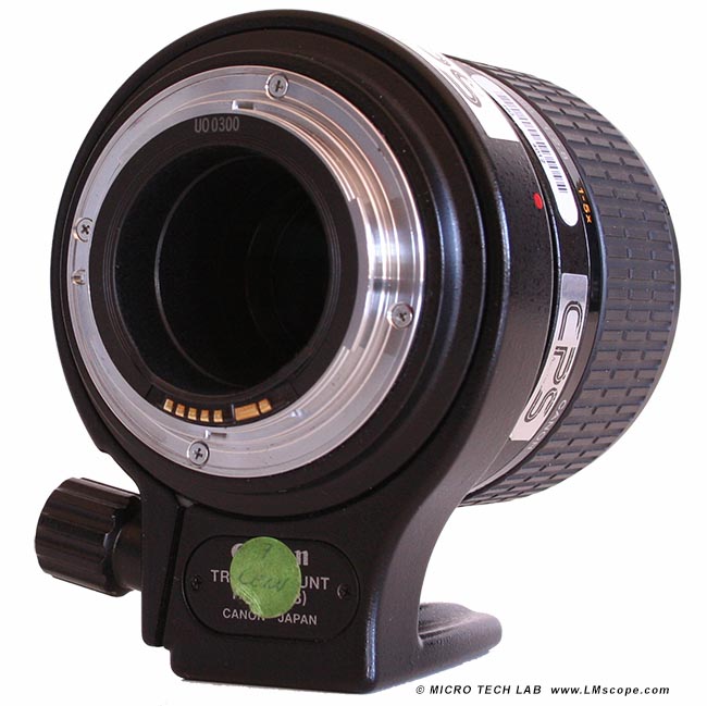Canon MP-E 65 Makroobjektiv Adapterlsung