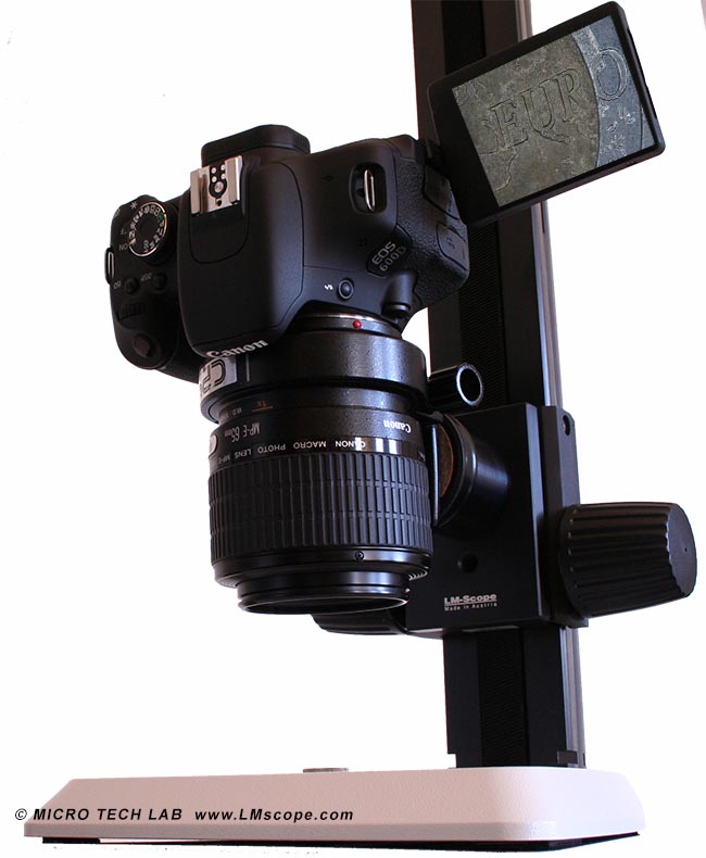 Canon DSLR with Macrostand