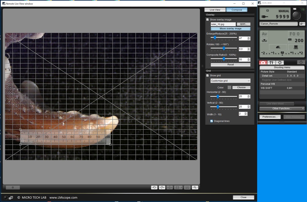 Vermessung Canon Utiltiy Software Kamerasoftware/ mit dem Overlay Modus