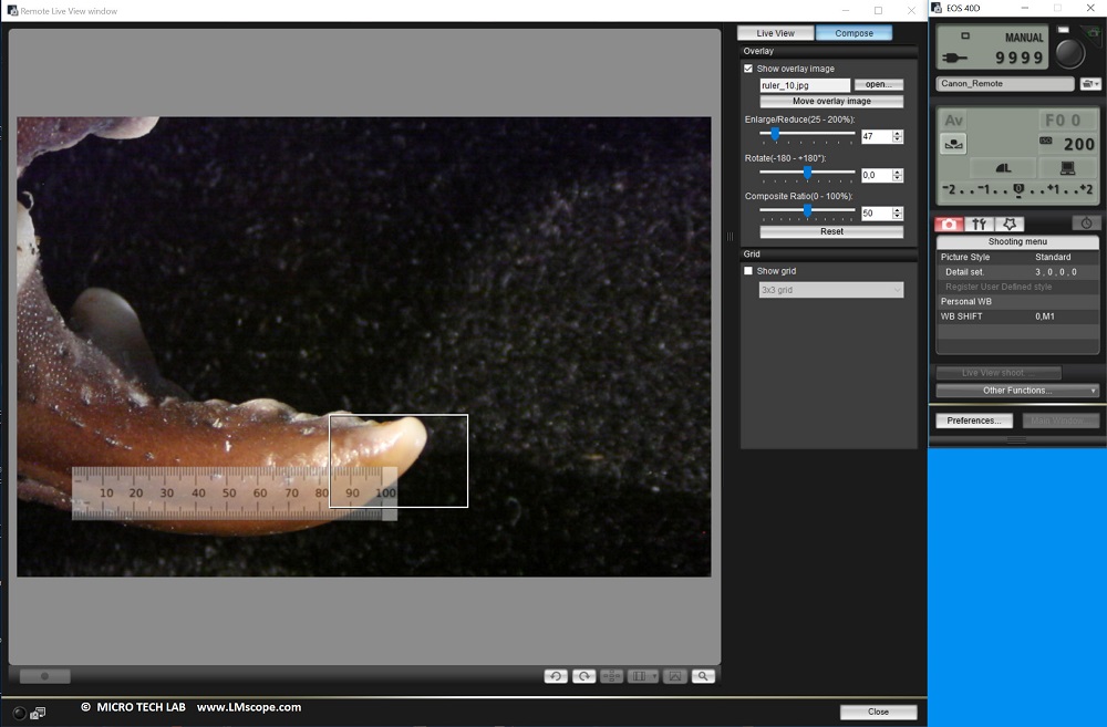 measure microscope photos with Canon EOS utility software