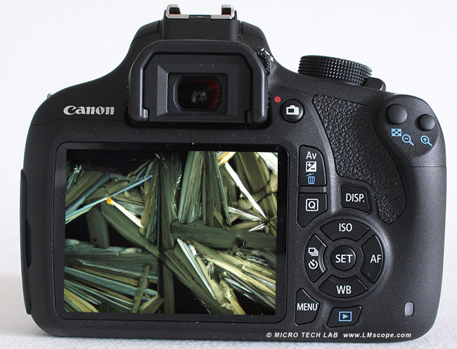 Canon EOS 1200D Rückansicht
