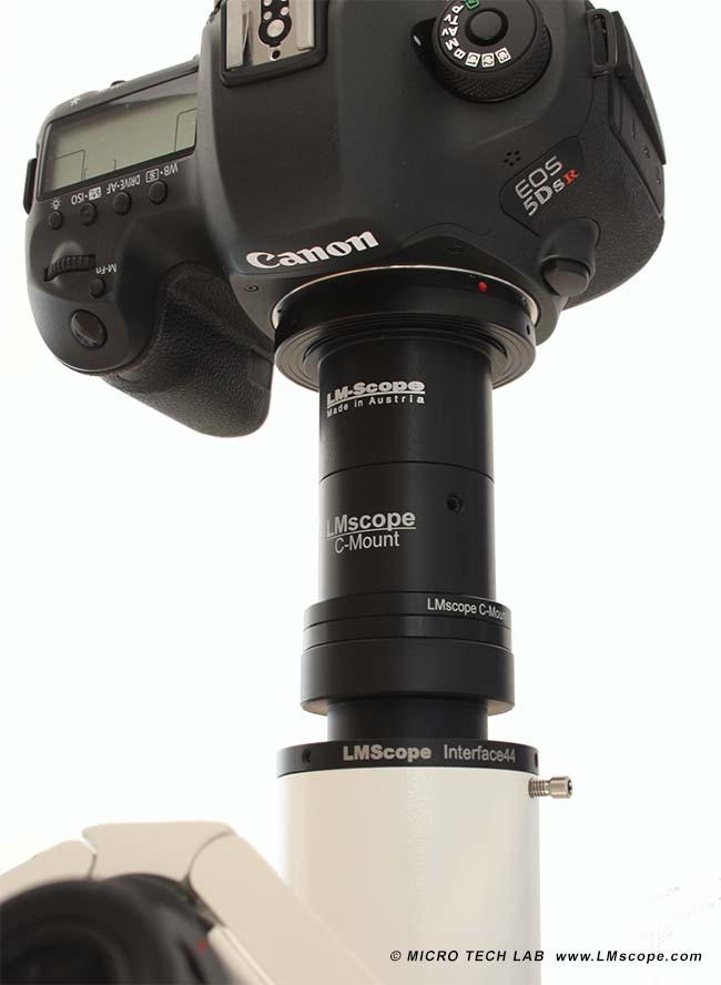 Canon EOS 5DSR on microscope with LM digital adapter