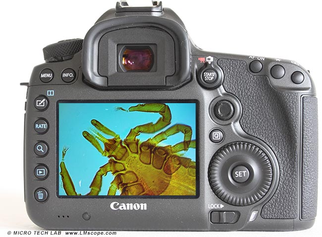 Canon EOS 5DS R rear view tic