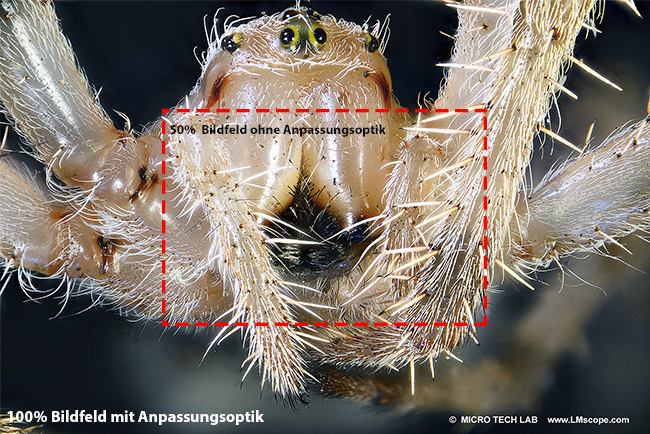 Comparison of field of view fov c-mount cameras adapter integrated adjustment optics